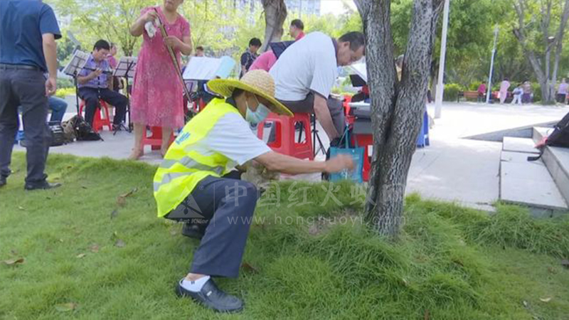注意！被它咬伤可能要送医，逛潘塘公园的市民要小心！