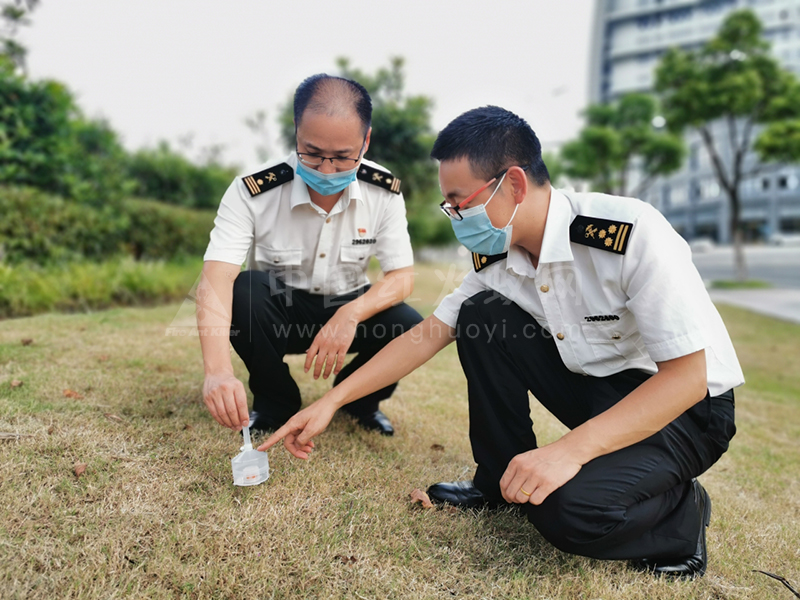 嘉兴海关提醒：这种蚂蚁很危险