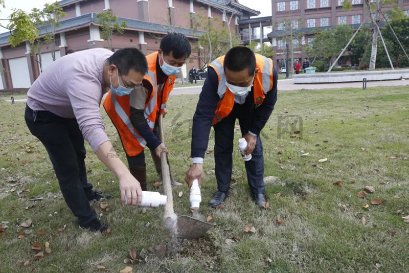 揭阳有关部门迅速行动，防控治理文化广场红火蚁