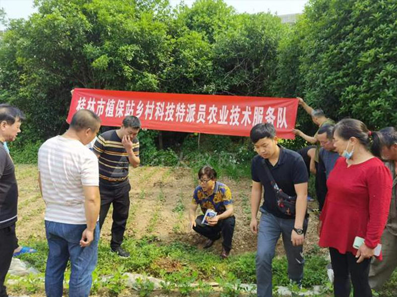 桂林市植物保护站乡村科技特派员到叠彩区开展红火蚁培训