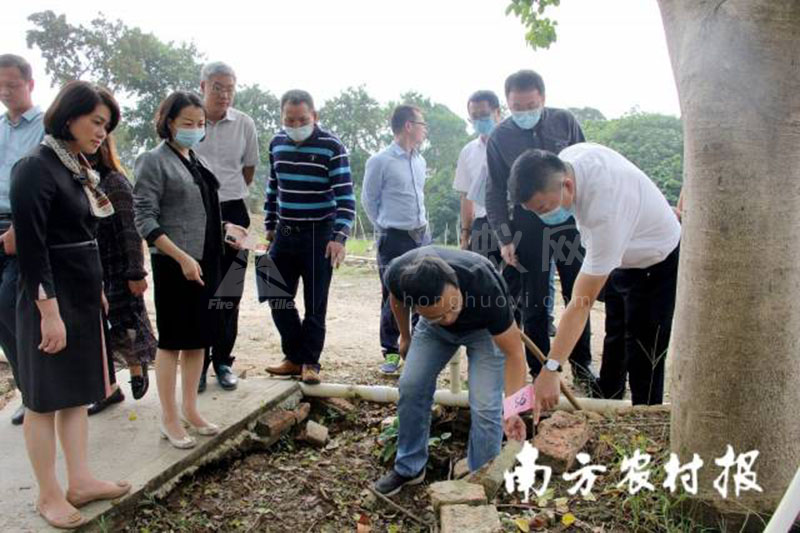 中山市分管领导刘云梅副市长到横栏镇调研督导红火蚁防控工作