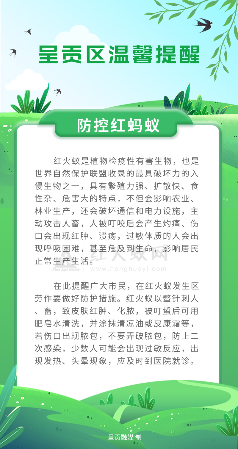 防控红火蚁，呈贡区发出提醒！